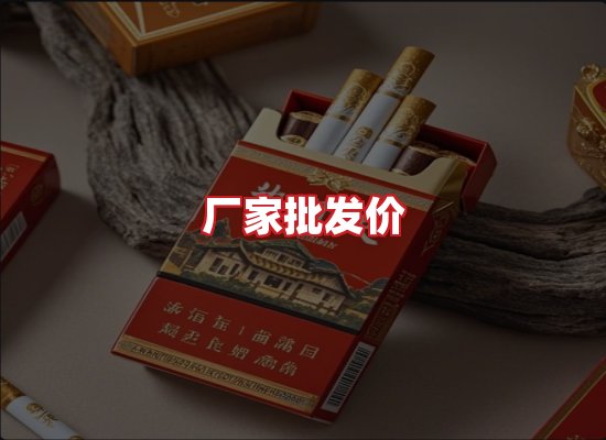 专业团队